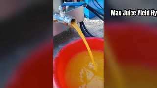 Мощная гидравлическая соковыжималка для коммерческого использования